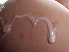 Spermaladung, Latina