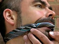 Anaal, Stel, Homo, Hardcore, Spier