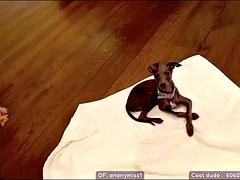 Cam show: Babe, Pornhub  Solo VR Porn