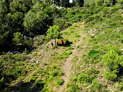 Застукали, Парочка, Секс без цензуры, На природе