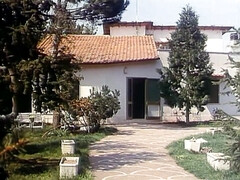 Grosser arsch, Grosse titten, Blondine, Braunhaarige, Hd, Milf, Muschi, Vintage