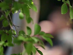 Lieveling, Grote lul, Bruinharig, Zuigen, Tieten likken