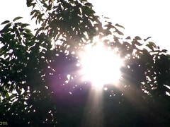 Aziatisch, Kont, Lieveling, Grote kont, Pijpbeurt, Bruinharig, Kut duiken, Tieten likken