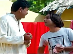 Bruinharig, Hd, Indisch