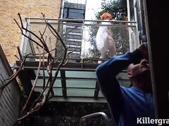 In den arsch, Grosser schwanz, Grosse titten, Braunhaarige, Vollbusig, Handjob, Reif, Milf