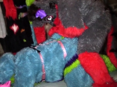 Leie, Hundestellung, Uniform