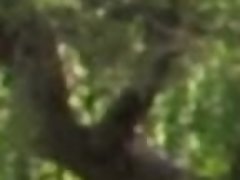 Blasen, Hundestellung, Handjob, Masturbation, Im freien, Pov, Hintern versohlen, Weibliche ejakulation