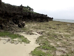 Culo, Corridas, Linda, Garganta profunda, Hd, Japonés, Natural, Al aire libre