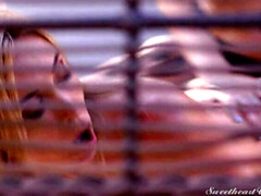 Каблуки, Лесбиянка, Натуральные сиськи, На природе, Киски, Стринги, Сиськи, Игрушки