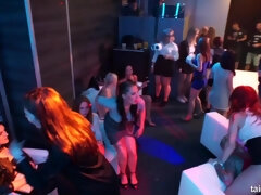 Dingue, Érotique, Groupe, Branlette thaïlandaise, Hard, Orgie, Fête, Public