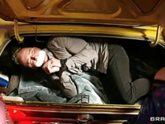 Большая жопа, Большой член, Большие сиськи, Минет, Собачьи, Две девушки, Милф, Молоденькие