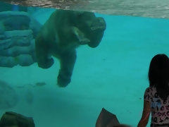 Behaart, Masturbation, Piercing, Pov, Muschi, Rau, Rock, Vibrator