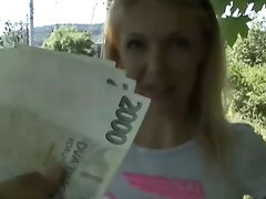 Kont, Blond, Hondjeshouding, Handbeurt, Buiten, Gezichtspunt, Geschoren, Tiener