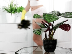 Sucer une bite, Léchez, Domestique, Chatte, Chevaucher, Rasée