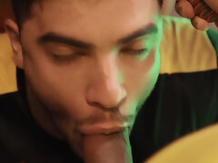 Homo