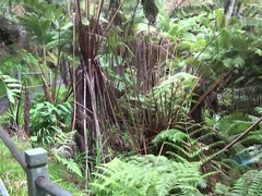 Petite amie, Pov, Public, Chatte, Rasée, Maigrichonne, Gicler, Nénés