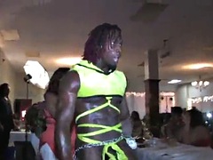 Grosser schwanz, Schwarz, Schwarz