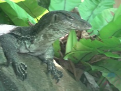 Amateur, Salle de bains, Sucer une bite, Brunette brune, Petite amie, De plein air, Pov, Nénés