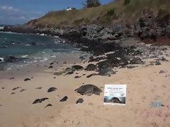 Amateur, Bikini, Sucer une bite, Exhib, Petite amie, Public, Fumer, Nénés