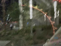 素人, お尻, 浴室, 黒人, ドレス, 彼女, ふっくら乳首, 剃毛