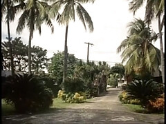 Жопа, Красотки, Большой член, Минет, Член, Волосатые, Хд, Итальянки