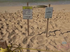 Plage, Doigter, Petite amie, Branlette thaïlandaise, De plein air, Piercing, Rasée, Nénés