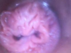 チェコ, 目瞪口呆, 一人, おもちゃ