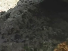 指いじり, 日本人, 下着, アウトドア, オッパイの