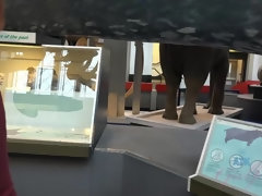 素人, 口内発射, 彼女, 眼鏡, 毛深い, レズビアン, ハメ撮り, オマンコ