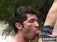 Большой член, Минет, Сперма во рту, Глубокая глотка, Член, Геи, Секс без цензуры, На природе