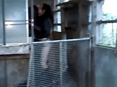 Bukkaké, Classique, Tir de sperme, Français, Partouze, Gothique, Mamelons, Tatouage