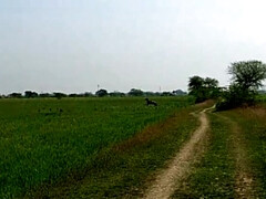 Desi Village Girl Fucks Friend in Fields - Hindi Audio Outdoor Sex with Face Fucking & Happy Ending