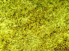 Anal, Tetas grandes, Abuelita, Maduro, Madres para coger, Solo, Tetas, Juguetes