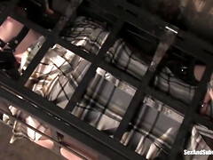 Sadomasochismus, Schönheit, Blasen, Klassisch, Kehlenfick, Fetisch, Muschi, Titten