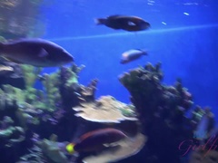 Enthousiasteling, Strand, Grote kont, Zwart, Gezichtspunt, Dikke tepels, Mager, Tieten likken