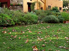 Webyoung - Jenna J Ross, Kota Sky, Alina West, Ariana Marie