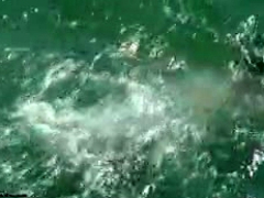 Enthousiasteling, Strand, Buiten, Tiener, Bekijker