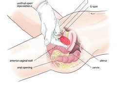 お尻, 茶髪の, 巨乳な, チン, ハードコア, Hd, 天然, ロシア人