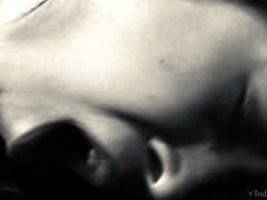 Застенчивая