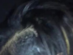Amateur, Negro, Mamada, Ébano, Hd