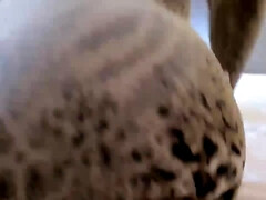 Leie, In den arsch, Braunhaarige, Pummelig, Schwanz, Deutsch, Zierlich, Weibliche ejakulation