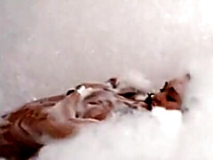 アジア人, ヴィンテージ