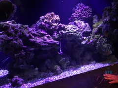 ブロンド, 指いじり, 毛深い, オーガズム, アウトドア, ハメ撮り, オマンコ, オッパイの