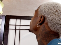 Enthousiasteling, Grote lul, Zwart, Harig, Hardcore, Zoenen, Monster, Kut duiken