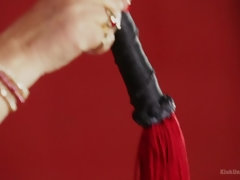 Bondage discipline sadomasochisme, Fetisj, Leer, Pijn