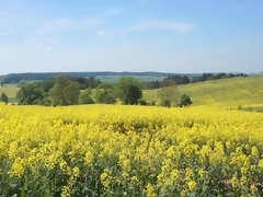 Schönheit, Masturbation, Schüchtern, Solo