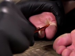 美女, 緊縛, 指いじり, 彼女, 毛深い, 乳首, タトゥー, おもちゃ