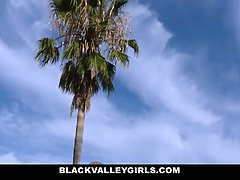 Blackvalleygirls- gorgeous (ana foxx) fucked by pool man