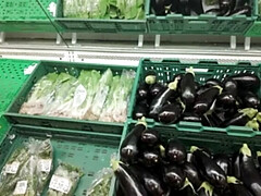 デカパイ, 女, 露出狂, Hd, オナニー, アウトドア, オマンコ, バイブレーター