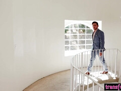 アナル, デカチン, デカパイ, フェラチオ, チン, ラフ, シーメール